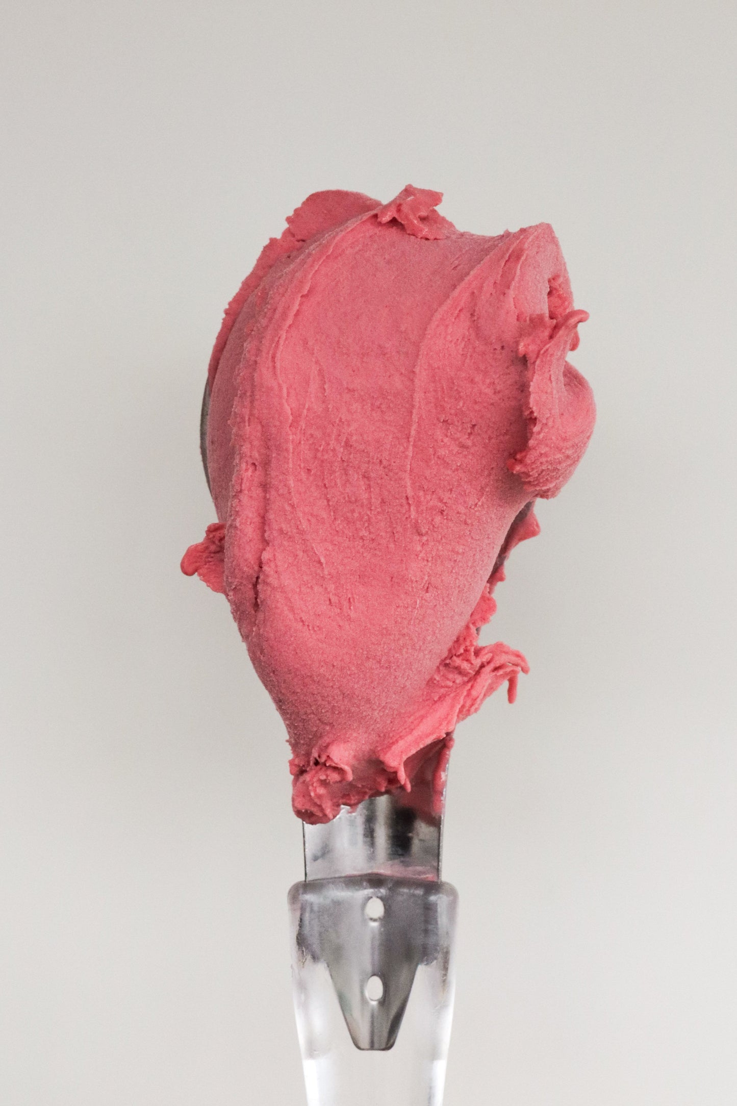 1 Litre Gelato & Sorbet Tub